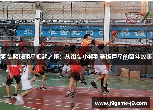 狗头篮球明星崛起之路：从街头小将到赛场巨星的奋斗故事